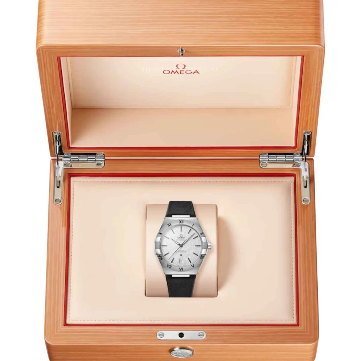 Constellation 41 mm, steel on rubber strap - Image 3