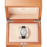 Constellation 41 mm, steel on rubber strap - Image 3